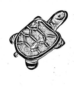 Turtle drawing by Erin Mouré